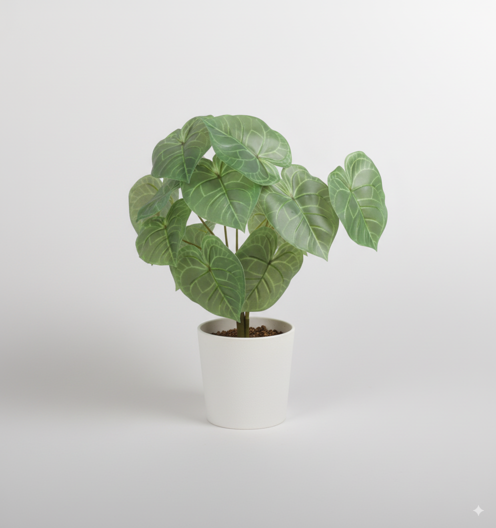 פילודנדרון ירוק 13 ראשים 35 ס"מ