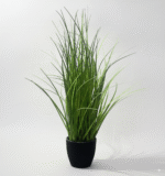 נוף עשב ירוק