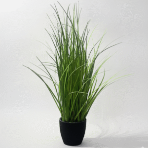 נוף עשב ירוק