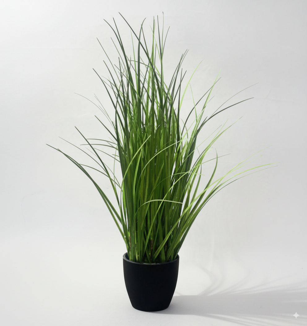 נוף עשב ירוק