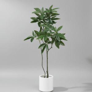 עץ כסף מאה דור