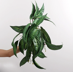 ארואיד אלף שנה תלוי קיר בינוני