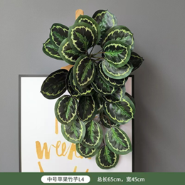 ארואיד תפוח תלוי קיר 60 ס"מ