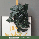 בגוניה תלויה 55 ס"מ