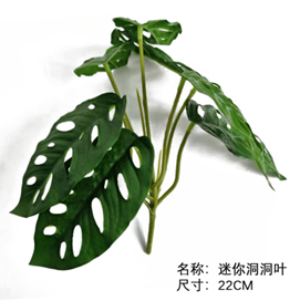 צרור עלים מיני מחוררים – תמונה 2