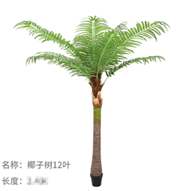 צרור עץ ברזיל 50 ס"מ – תמונה 2