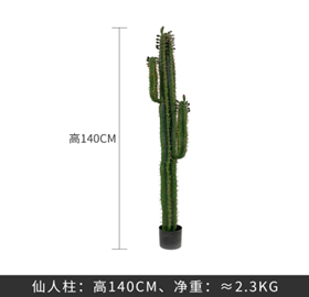 עמוד קקטוס 140 ס"מ – תמונה 2