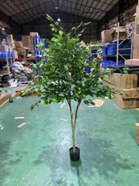 עץ פיקוס מלאכותי – תמונה 2