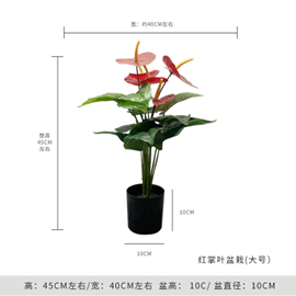 עציץ עלה אנתוריום גדול 45 ס"מ – תמונה 2