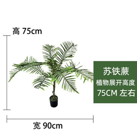 עציץ שרך סייקד 100 ס"מ – תמונה 2