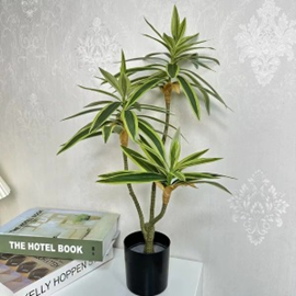 עציץ במבוק לבן גזע יחיד שלושה ראשים 70 ס"מ (פסים לבנים) – תמונה 2