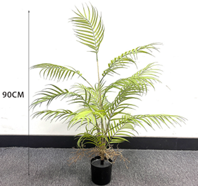 דקל מיני 90 ס"מ – תמונה 2