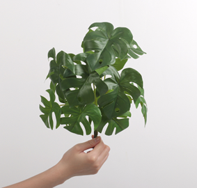 מונסטרה 13 ראשים ירוק – תמונה 2