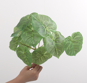 פילודנדרון ירוק 13 ראשים 35 ס"מ – תמונה 2