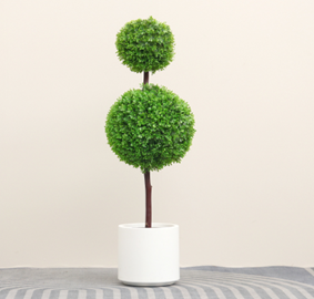 כדור עשיר 2 ראשים אביבי – תמונה 2