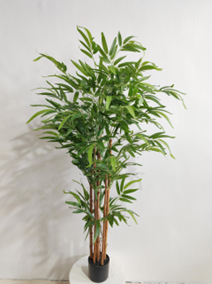 פינוי במבוק – תמונה 2