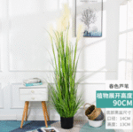 קנה אביבי - 90cm