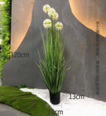 קנה עם פרח - 75cm