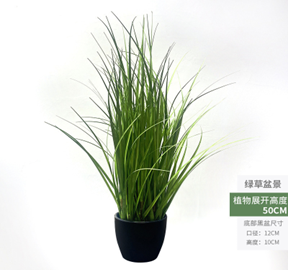 נוף עשב ירוק – תמונה 2