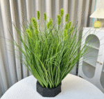 עשב זחל אביבי קטן מס' 1 ראש ירוק 50 ס"מ (15 ראשים)