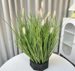 עשב זחל ירוק קטן מס' 3 ראש ורוד (15 ראשים)