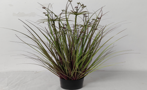 עציץ פעמון רוח 5 ראשים 90 ס"מ – תמונה 2