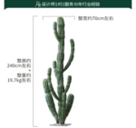 קקטוס ענק - 240cm