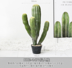 עציץ פעמון רוח 5 ראשים 90 ס"מ