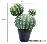 כדור קקטוס פרווה לבנה זוגי