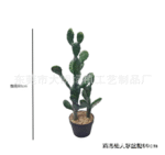 עציץ קקטוס ליאון 80 ס"מ