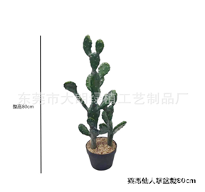 עציץ קקטוס ליאון 80 ס"מ