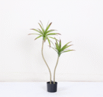 עציץ אגבה מיני - 110cm