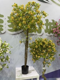 פרח אי אביבי 3 גזעים – תמונה 2