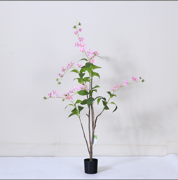 עציץ יסמין תלוי