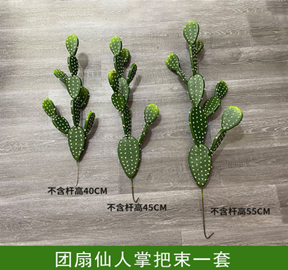 צרור קקטוס מניפה (שלוש ענפים בסט)