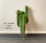 צרור עמוד קקטוס שלושה מזלגות - דגם כדור ראש 50 ס"מ