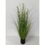 עציץ עשב שכחה 5 ראשים