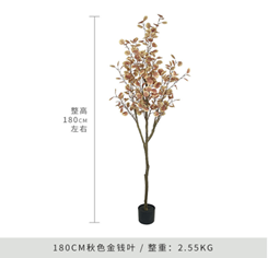 עץ כסף אדום