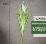 עשב זנב שועל אביבי בודד 90 ס"מ