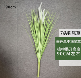 עשב זנב שועל אביבי בודד 90 ס"מ