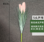 עשב קנה ורוד בודד 85 ס"מ