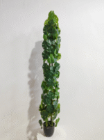 פגודה - דגם 1