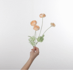 ורד תה אלגנטי - שמפניה