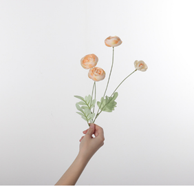 ורד תה אלגנטי