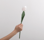 צבעוני - לבן-ורוד