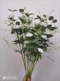 צרור ציפורן עם עלים