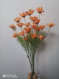 צרור קמומיל