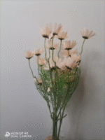 צרור קמומיל