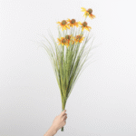 צרור אכינצאה - צהוב