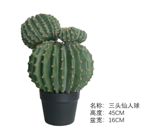 כדור קקטוס שלושה ראשים 45 ס"מ